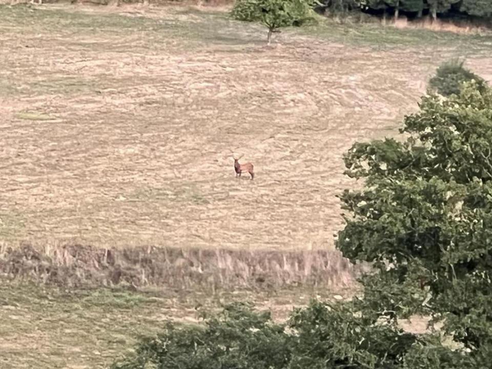 Roulotte A Sapharey Otel Sarrazac  Dış mekan fotoğraf